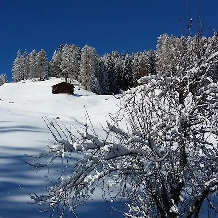 Apartament Gadenstatt *